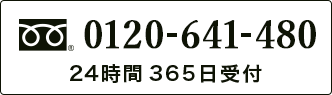 0120-641-480